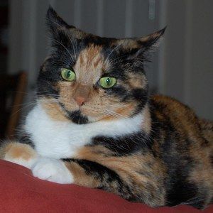 Meet your Posher, Beverly